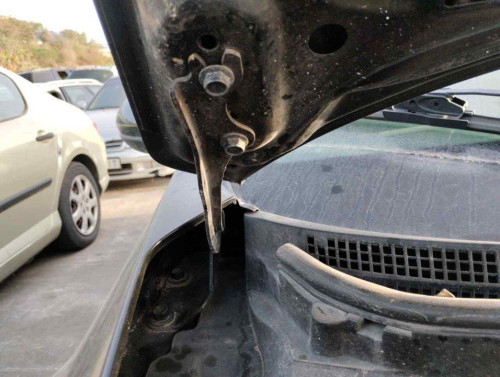  BISAGRA CAPO DERECHA, MAZDA, 6 BERLINA (GH) 