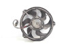 ELECTROVENTILADOR Peugeot EXPERT FURGÓN 