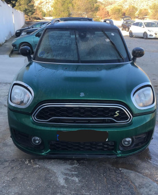 BMW MINI COUNTRYMAN (R60)