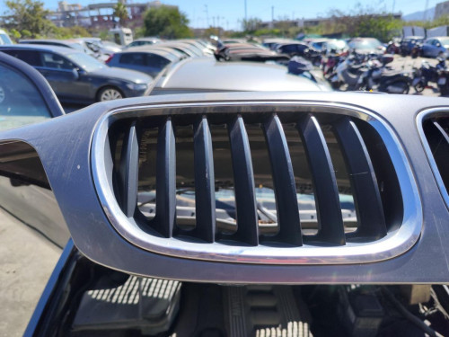 REJILLA DELANTERA, BMW, SERIE X5 (E53)