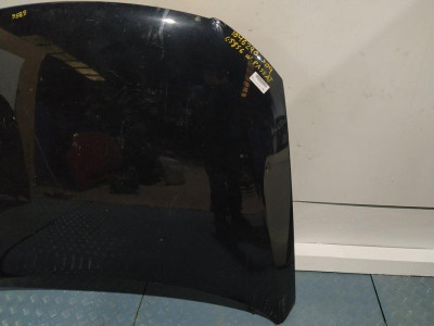 CAPO, VOLKSWAGEN, PASSAT VARIANT (3C5)