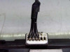  CERRADURA MALETERO / PORTON FORD FOCUS C-MAX (CAP)(2003) 