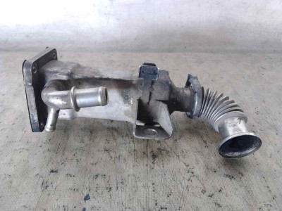 ENFRIADOR EGR, RENAULT, SCENIC II (JM)