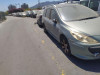  PEUGEOT 307 BREAK/ SW (S2) 