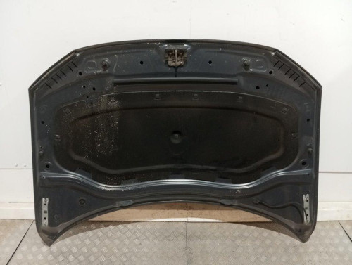  CAPO VOLKSWAGEN TIGUAN (AD1) 
