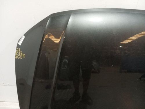 CAPO VOLKSWAGEN TIGUAN (AD1) 