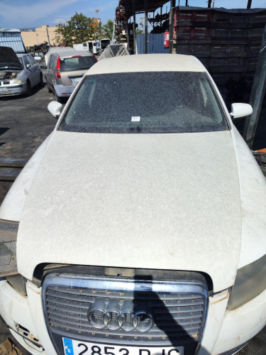 CAPO AUDI A6 BERLINA (4F2) 