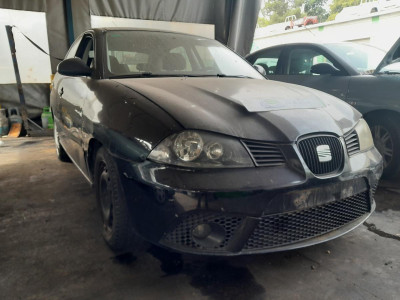 SEAT IBIZA (6L1)