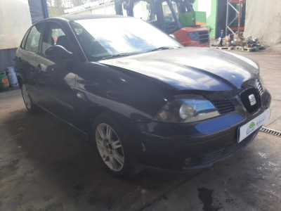 SEAT IBIZA (6L1)