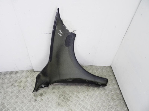 ALETA DELANTERA IZQUIERDA, RENAULT, MEGANE III BERLINA 5P