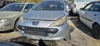 PEUGEOT 307 BREAK/ SW (S2)