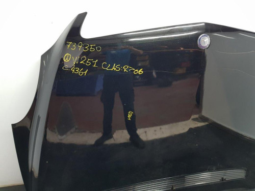  CAPO MERCEDES-BENZ CLASE R (BM 251) 