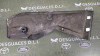 NO IDENTIFICADO LAND ROVER FREELANDER (LR2) 