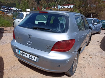 PEUGEOT 307 (S1)(04.2001)