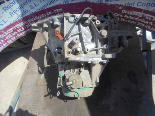 CAJA CAMBIOS CITROEN XSARA BERLINA 