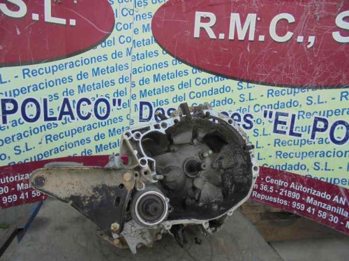 CAJA CAMBIOS Renault 19 (B/C/L53) 