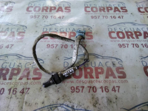 SONDA LAMBDA Citroen C4 BERLINA 