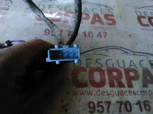 SONDA LAMBDA Citroen C4 BERLINA 