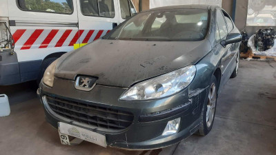 PEUGEOT 407