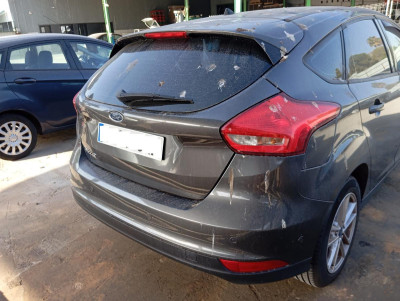 PILOTO TRASERO DERECHO, FORD, FOCUS BERLINA (CEW)