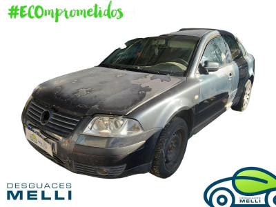 VOLKSWAGEN PASSAT BERLINA (3B3)