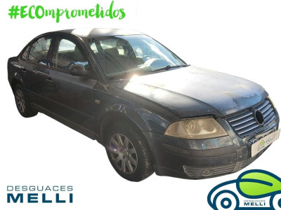 VOLKSWAGEN PASSAT BERLINA (3B3)