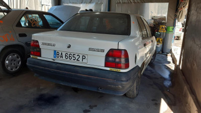 RENAULT R 19 BERL. CON PORTÓN (B/C53)