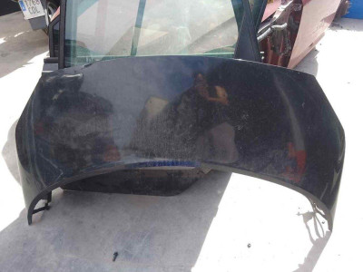 CAPO, RENAULT, SCENIC II (JM)