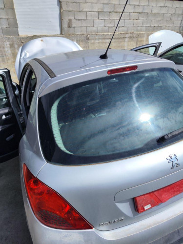 PORTON TRASERO Peugeot 207 