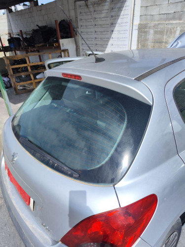 PORTON TRASERO Peugeot 207 