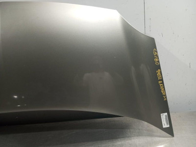 CAPO, RENAULT, KANGOO I (F/KC0)
