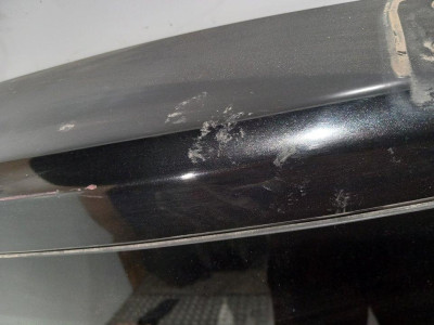 PORTON TRASERO, SSANGYONG, RODIUS