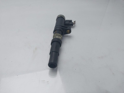 BOBINA ENCENDIDO, RENAULT, SCENIC II (JM)