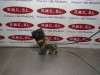  CERRADURA PUERTA DELANTERA DERECHA Mazda 6 BERLINA (GG) 