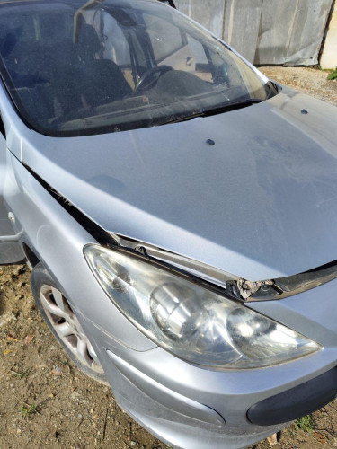  PEUGEOT 307 BREAK/ SW (S2) 