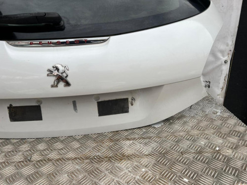 PORTON TRASERO 