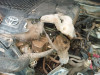 MOTOR COMPLETO Toyota HILUX (KUN) 