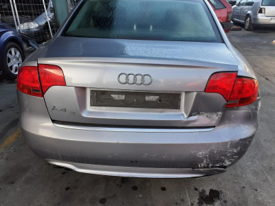 PORTON TRASERO, AUDI, A4 BERLINA (8E)