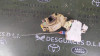 CERRADURA PUERTA DELANTERA DERECHA NISSAN TERRANO II (R20) 