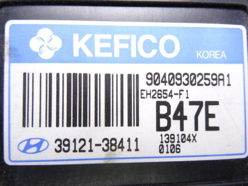  CENTRALITA MOTOR UCE, HYUNDAI, SANTA FE (SM) 