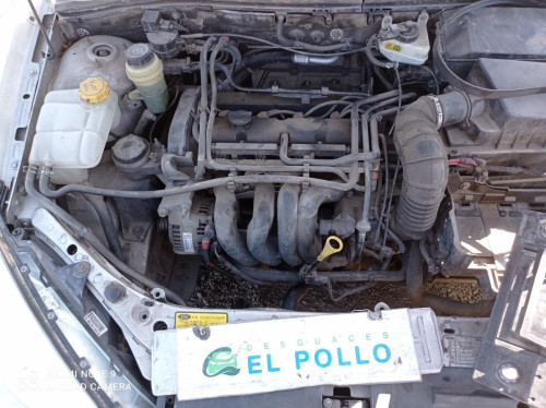  FORD FOCUS BERLINA (CAK) 