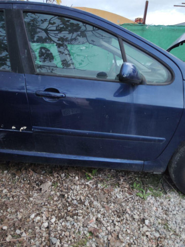 PUERTA DELANTERA DERECHA Peugeot 307 (S1)(04.2001) 