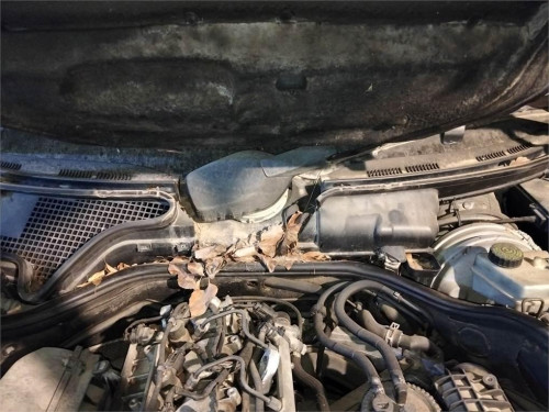 MOTOR LIMPIA DELANTERO MERCEDES-BENZ CLASE E (BM 210) BERLINA 