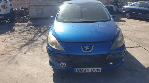  PEUGEOT 307 BERLINA (S2) 