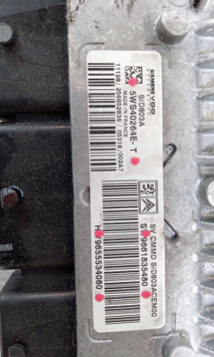 CENTRALITA MOTOR UCE, PEUGEOT, 407 SW