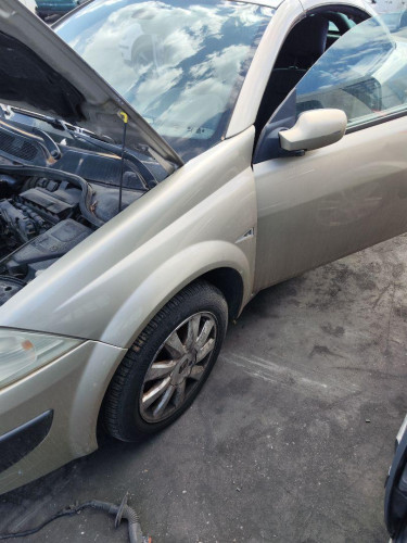 ALETA DELANTERA IZQUIERDA RENAULT MEGANE II COUPE/CABRIO 