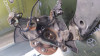 MANGUETA DELANTERA DERECHA TOYOTA C-HR (X10) 