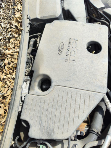TAPA MOTOR FORD FOCUS BERLINA (CAP) 