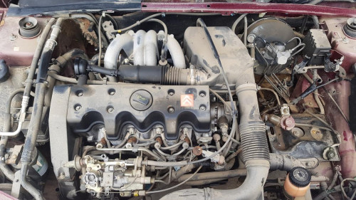  Citroen Saxo (1996->) SIN IDENTIFICAR 