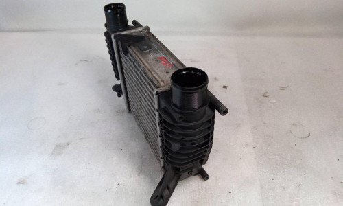 INTERCOOLER Renault CLIO III 
